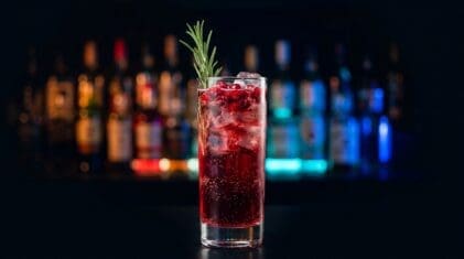 Spiced Cranberry Fizz - Drink Lab recipe hero image