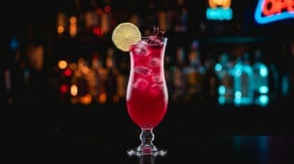 Agua Fresca (Hibiscus and Lime) - Drink Lab recipe hero image