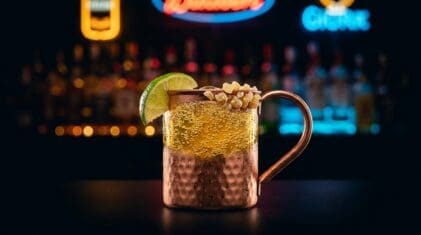 Ginger Beer Mocktail - Drink Lab recipe hero image