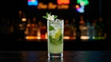 Jasmine Green Tea Mojito Mocktail - Drink Lab recipe hero image