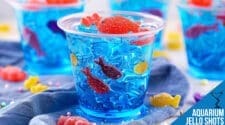 Aquarium Jello Recipe – Fun, Fruity, and Ocean-Themed