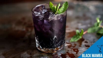 Black Mamba Cocktail Recipe - Bold and Striking Tequila Mix