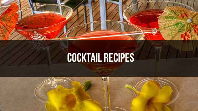 Drink Lab Cocktail Recipes