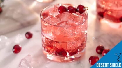 Desert Shield Cocktail - Refreshing Cranberry Vodka Drink