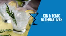 Gin & Tonic Cocktails & Drinks