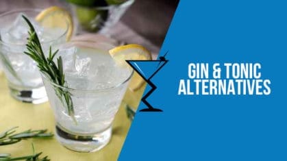 Gin & Tonic Cocktails & Drinks