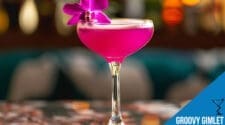 Groovy Gimlet Cocktail Recipe - A Vibrant and Refreshing Drink