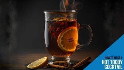 Hot Toddy Cocktail