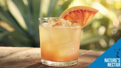 Nature's Nectar Cocktail Recipe - Inspired by Netflix's Sweet Tooth