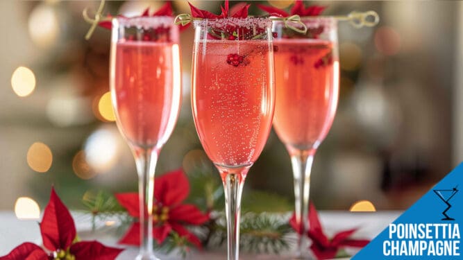 Poinsettia Champagne Cocktail Recipe - Festive Cranberry Sparkle