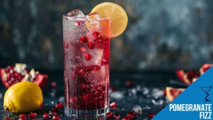 Pomegranate Fizz Cocktail Recipe - Refreshingly Fruity Delight