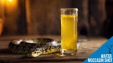 Water Moccasin Shot Recipe - A Bold and Fruity Adventure