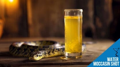 Water Moccasin Shot Recipe - A Bold and Fruity Adventure