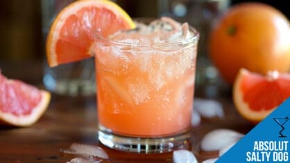 Refresh with an Absolut Salty Dog Cocktail Recipe