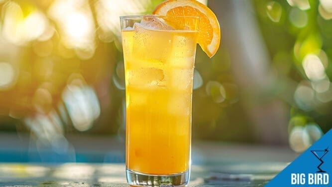 Big Bird Cocktail Recipe - Fruity Banana and Citrus Mix