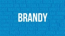 Brandy Cocktail Recipes
