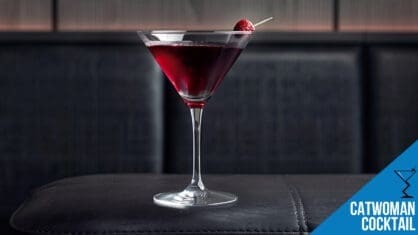 Catwoman Cocktail Recipe - A Bold and Mysterious Drink