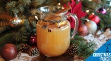 Festive Christmas Punch Recipe - Perfect Holiday Drink