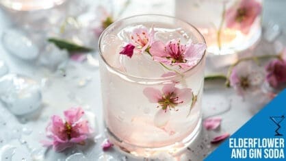 Elderflower and Gin Soda Recipe - Delicate Refreshing Drink