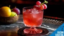 Enzoni Cocktail Recipe - A Perfect Blend of Negroni and Gin Sour