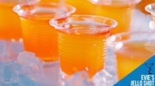 Evie’s Jello Shot Delight Recipe - Fruity Fun in a Shot