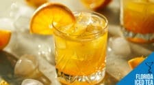 Florida Iced Tea Recipe - A Refreshing Citrus Delight