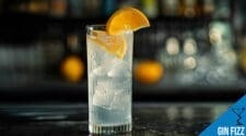 Gin Fizz Cocktail Recipe - Refreshing Citrus Delight