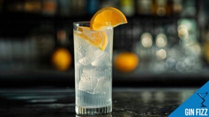 Gin Fizz Cocktail Recipe - Refreshing Citrus Delight
