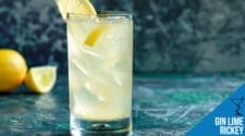 Gin Lime Rickey Recipe - Refreshing Citrus Cocktail