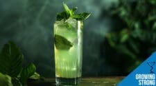 Growing Strong Cocktail Recipe - Minty Game of Thrones Drink