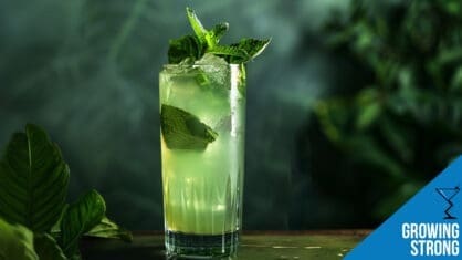 Growing Strong Cocktail Recipe - Minty Game of Thrones Drink