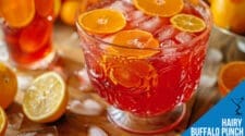 Hairy Buffalo Punch Recipe | Drink Lab Cocktail & Drink Recipes