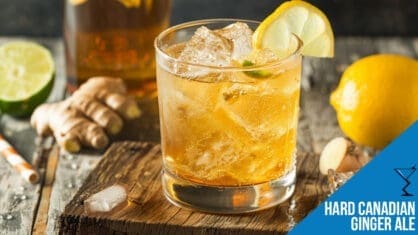 Hard Ginger Ale Cocktail Recipe - Refreshing and Easy to Make