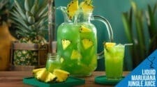 Liquid Marijuana Jungle Juice Recipe - Perfect Party Punch