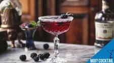 MOI? Cocktail Recipe - Elegant Blackcurrant Twist