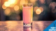 Panty Dropper Shot Recipe - A Fruity and Fun Party Drink