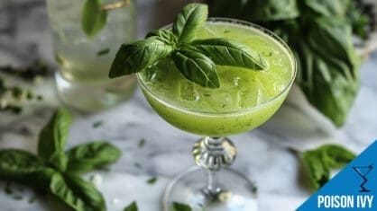 Poison Ivy Cocktail Recipe - Refreshing and Herbaceous Delight