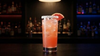 Salty Dog cocktail in a highball glass with salt rim, vodka and pink grapefruit juice over ice