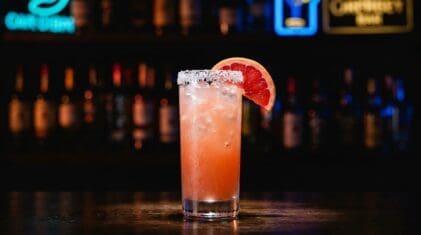 Salty Dog cocktail in a highball glass with salt rim, vodka and pink grapefruit juice over ice