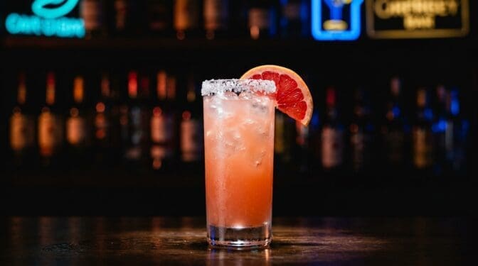 Salty Dog cocktail in a highball glass with salt rim, vodka and pink grapefruit juice over ice