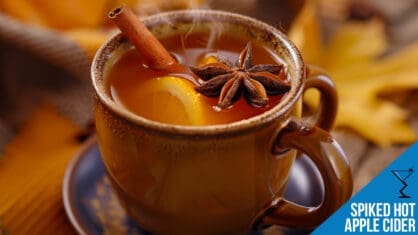 Spiked Hot Apple Cider Recipe - Warm and Cozy Autumn Sip