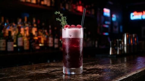 A Stranger Things Upside Down cocktail in a tall highball glass, deep red-purple raspberry liquid with a pale cloudy top layer, fresh raspberries and a sprig of thyme, dark moody bar background.