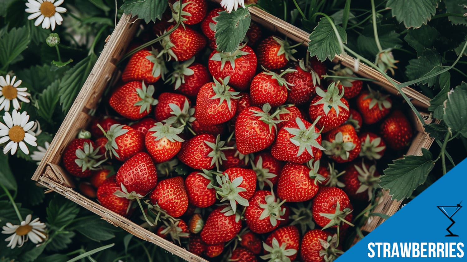 Strawberry Cocktails: Sweet, Fruity Drinks with a Fresh, Juicy Twist