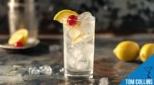 Tom Collins Cocktail