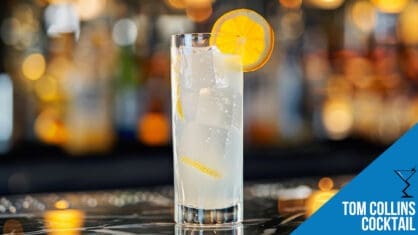 Tom Collins Cocktail Recipe: Classic Gin and Lemon Drink