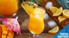 Tropical Rum Punch Recipe - Fruity & Refreshing Cocktail