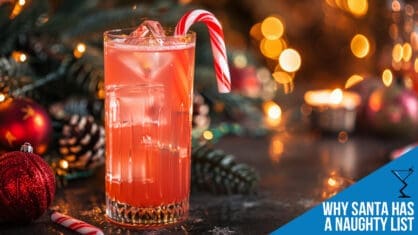 Why Santa Has a Naughty List Cocktail Recipe - Holiday Delight